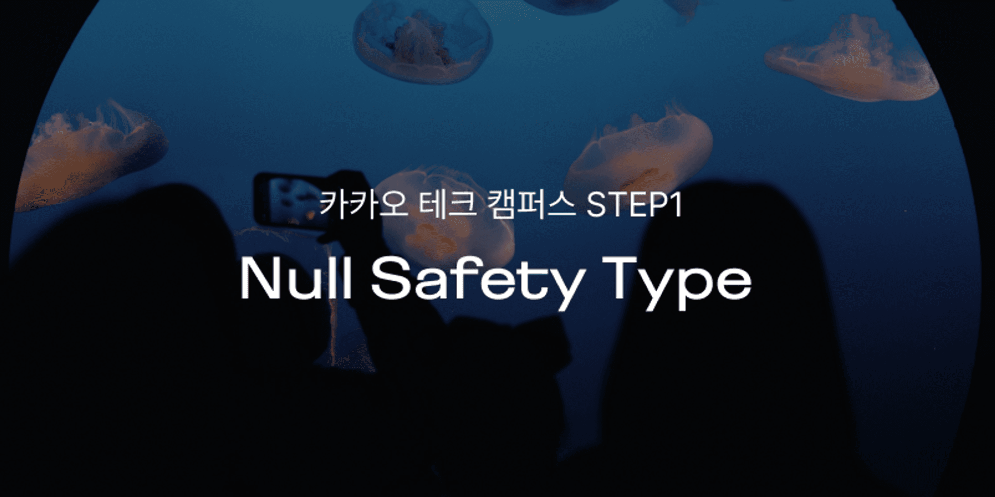 카카오테크캠퍼스 | Null Safety Type